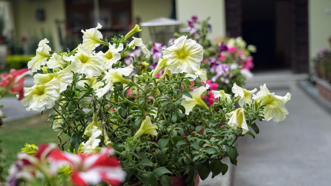 Kathmandu Garden Home Exterior foto